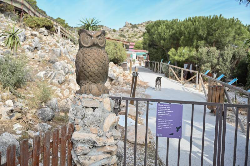 Fotos Aves de la Fundación Valle de las Águilas en Benalmádena